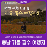 [충남 가을 필수 여행지] 시원한 바다와 숲, 일몰까지