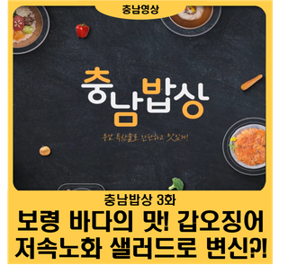 [충남밥상 3화] 갑오징어 샐러드?!