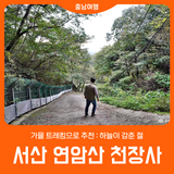 [서산 연암산 천장사] 가을 트레킹으로 추천 : 하늘이 감춘 절