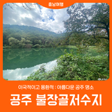 [공주 불장골저수지] 이국적이고 몽환적 : 아름다운 공주 명소