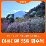 [천안 아름다운 정원 화수목] 가을 나들이 하기 좋은 곳