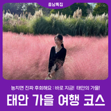 [태안 가을 여행 코스] 다양한 장소에서 만끽하는 가을 감성