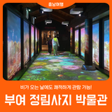 [부여 정림사지 박물관] 비가 오는 날에도 쾌적하게 관람