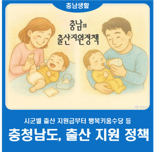 [충청남도] 각 시·군 별 출산 지원 정책