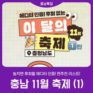 [2025 충남 방문의 해] 이 달의 축제_11월_1탄