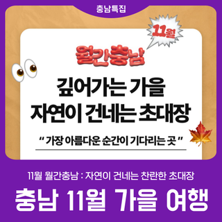 [깊어가는 가을] 자연이 건네는 찬란한 초대장