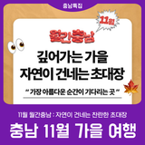 [깊어가는 가을] 자연이 건네는 찬란한 초대장