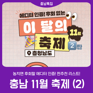 [2025 충남 방문의 해] 이 달의 축제_11월_2탄