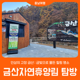 [금산자연휴양림] 인삼의 고장 금산 : 금빛으로 물든 힐링 명소