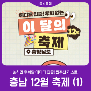 [2025 충남 방문의 해] 이 달의 축제_12월_1탄