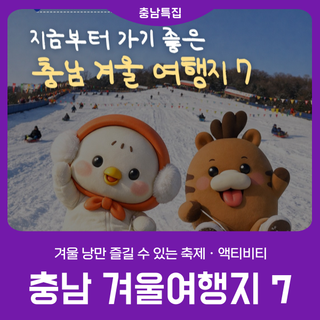 [충남 겨울여행지 7] 겨울 낭만 즐길 수 있는 축제 · 액티비티
