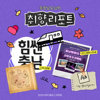 [2025 마이 블로그 리포트] 데이터로 채워보는 내 블로그 취향 리포트