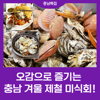 오감으로 즐기는 충남 겨울 제철 미식회 ❄️