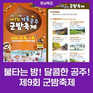 두쫀쿠보다 달콤한 군밤? 제9회 공주 군밤축제 같이 가자!