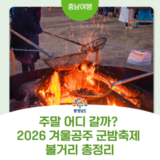주말 어디 갈까? 2026 겨울공주 군밤축제 볼거리 총정리