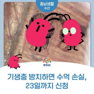 집단 폐사 막는다! 충남, 양식장 ‘기생충 전면 차단’