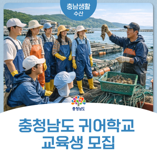 충남 귀어학교 17기 교육생 모집｜귀어 준비 5주 완성 과정 총정리