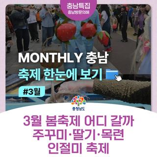 3월 충남 여행 축제 모음 | 서천 주꾸미·논산 딸기·태안 목련·공주 인절미