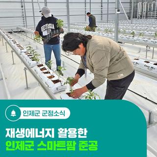 재생에너지 활용한 인제군 스마트팜 준공