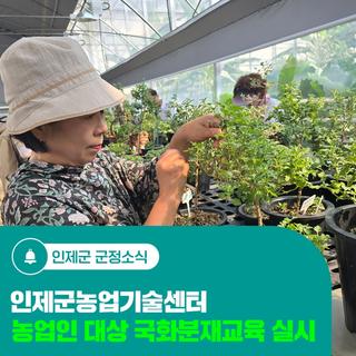 인제군농업기술센터, 농업인 대상 국화분재교육 실시