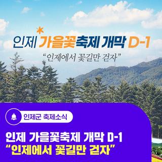 인제 가을꽃축제 개막 D-1, '인제에서 꽃길만 걷자'