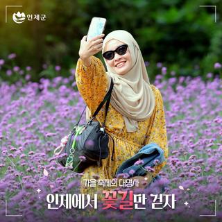 가을축제의 대명사 '인제에서 꽃길만 걷자' 축제 현장