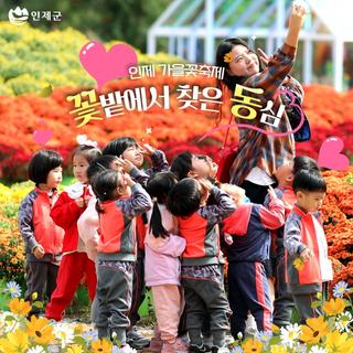 인제 가을꽃축제 '인제에서 꽃길만걷자' 꽃밭에서 찾은 동심