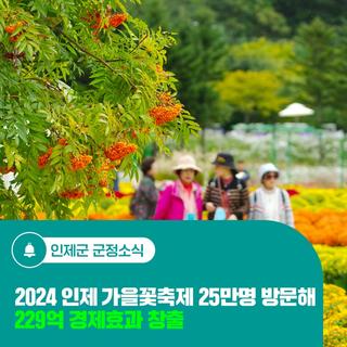 2024 인제 가을꽃축제 25만명 방문해 229억 경제효과 창출