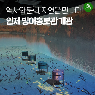 인제군 빙어홍보관 개관! [인제 가볼만한곳]