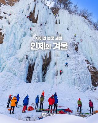 ❄️새하얀 눈꽃 세상, 인제의 겨울 가볼만한곳❄️ [강원도 인제 가볼만한곳]