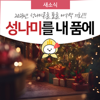 2023년 성나미 이모티콘을 품을 마지막 기회!