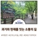 성남 야탑천 오야소리길 개장