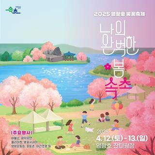 2025 영랑호 벚꽃축제