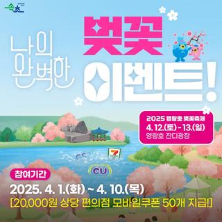 2025 나의 완벽한 벚꽃 이벤트!