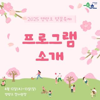2025 영랑호 벚꽃축제