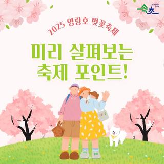 2025 영랑호 벚꽃축제