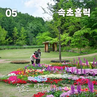 [속초소식지] 속초홀릭 2025년 5월호가 도착했습니다