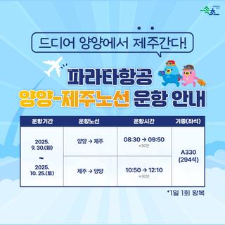 ✈️ 드디어 양양에서 제주 간다!
