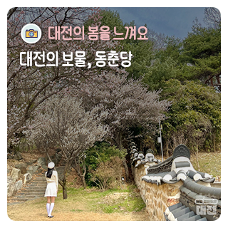 대전의 봄을 느낄 수 있는 명소 – 동춘당