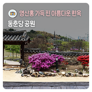 영산홍 가득 핀 아름다운 한옥, 소대헌·호연재 고택_동춘당 공원