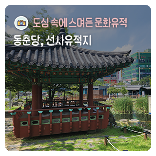 도심 속에 스며든 문화유적, 동춘당공원과 둔산선사유적지