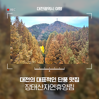 대전의 대표적인 단풍 맛집 장태산자연휴양림