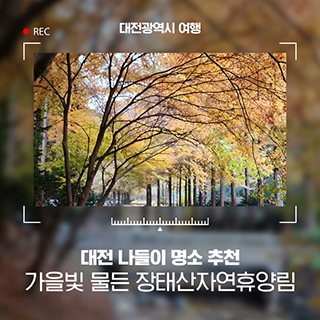 대전 가을 대표 명소 장태산자연휴양림 단풍 구경