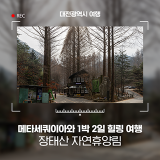 장태산 자연휴양림에서 만난 설레는 메타세쿼이아와 1박 2일 힐링 여행