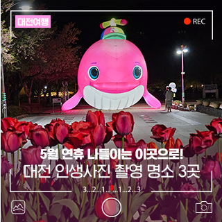 5월 연휴 나들이는 이곳으로! 대전 인생사진 촬영 명소 3곳 추천