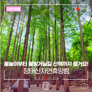대전 여름 피서지 추천! 장태산자연휴양림에서 물놀이부터 물빛거닐길 산책까지