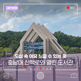 도심 속의 쉼, 충남대학교 산책로와 열린 도서관을 걷다