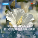 한밭수목원 '무궁화 품평회 은상 수상작' 만나러 오세요!