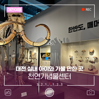 대전 실내 아이와 가볼 만한 곳, 천연기념물센터