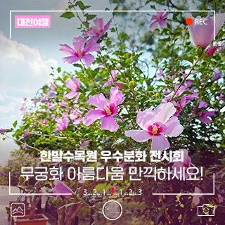 '무궁화 꽃이 피었습니다' 대전 한밭수목원 나라꽃 무궁화 우수분화 전시회